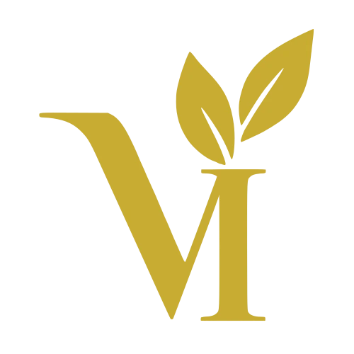 ViSA Bau GbR Logo
